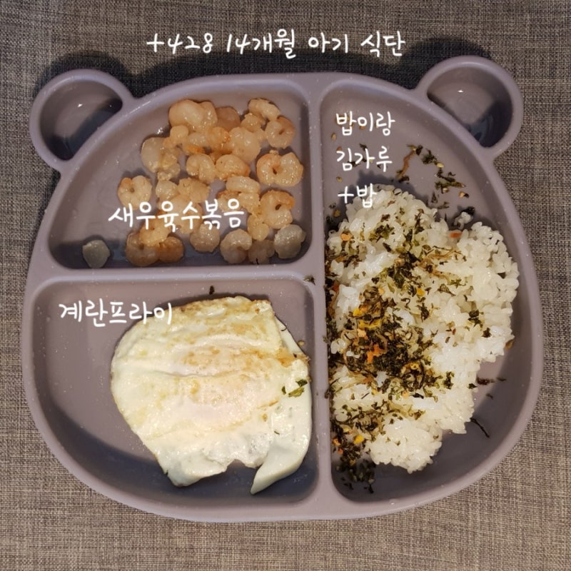 [이유식 완료기] 그까이꺼 대충