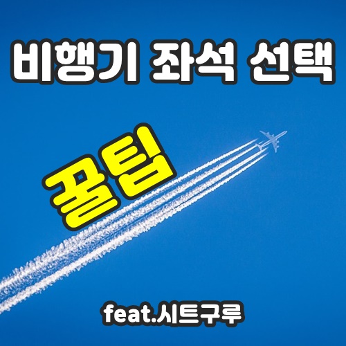  온라인 체크인 시 참고 【비행기 좌석 선택 꿀팁】