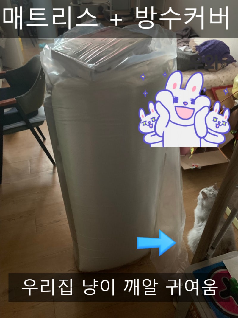 와디즈 슬리플&서전에코 메모리폼 매트리스 구입후기 : 네이버 블로그