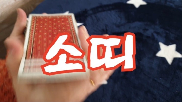  #2019년4월소띠타로운세