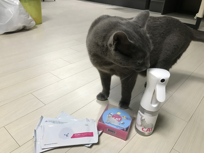  [고양이 용품] 스투키펫 스프레이 & 탈취제 사용후기