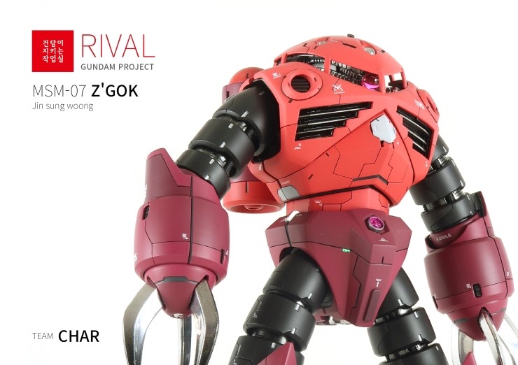  6.샤아전용즈고크 MG Z'GOK(CHAR'S CUSTOMIZE)