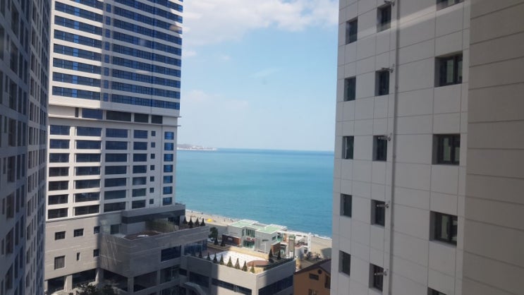  부산 부동산시세확인서 발급