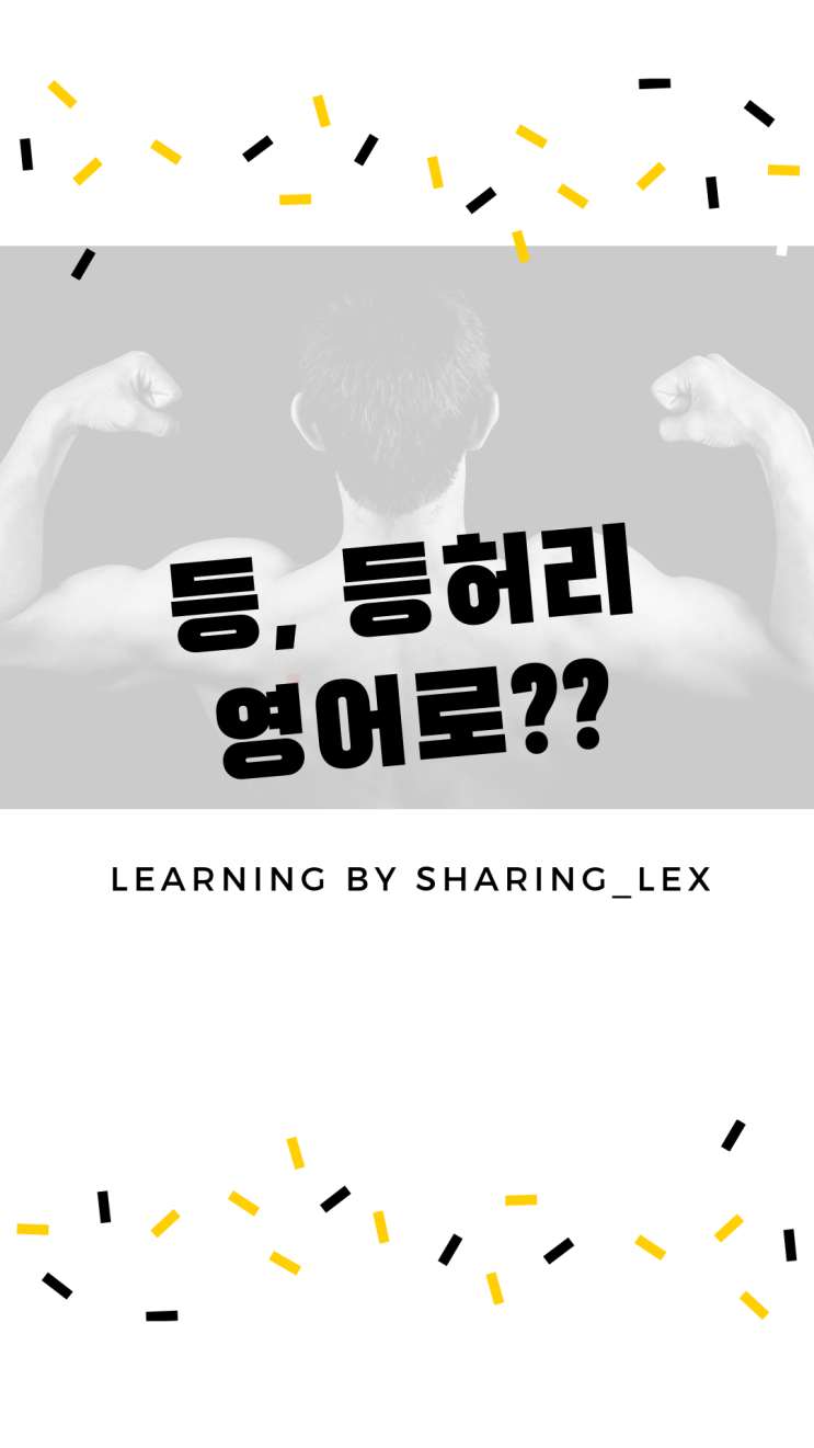  '등, 등허리'는 영어로 뭐라할까? 간단한데 모르겠는 영단어~