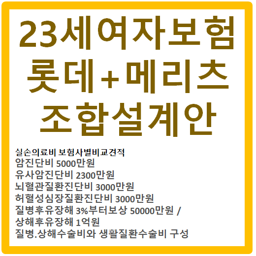  23살여자보험 96년생여자보험 롯데도담도담자녀보험+메리츠내맘같은어린이 조합해서 건강보험 가입하기