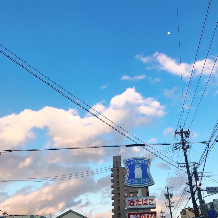  D+721 일상/인턴/교통사고/딸기농장/집밥/알바일기