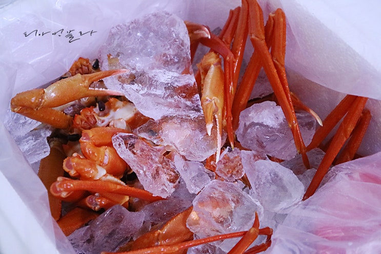  속초 맛집 추천 동해인 (택배 주문도 가능해요)
