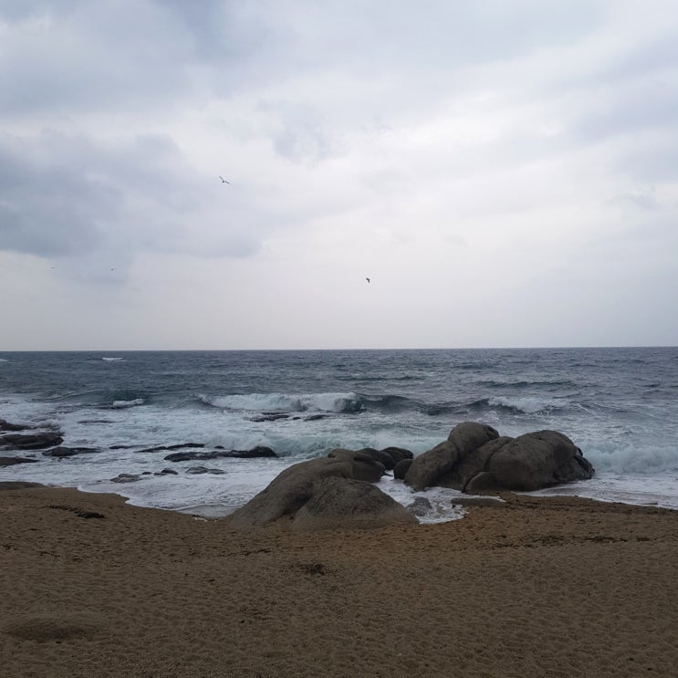  [속초] 장사항 / 어나더블루