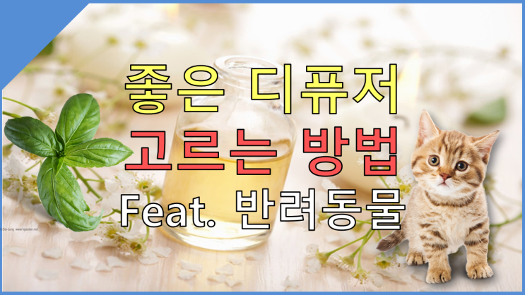  고양이, 강아지도 맡을 수 있는 디퓨저 고르는 방법!