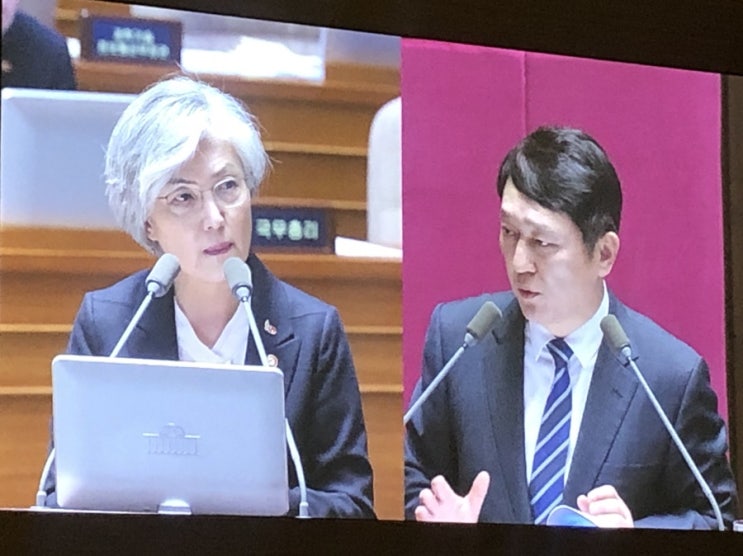  [3월 20일] 제367회 임시국회, 외교 통일 안보 분야 대정부질문-민주당 최재성 의원
