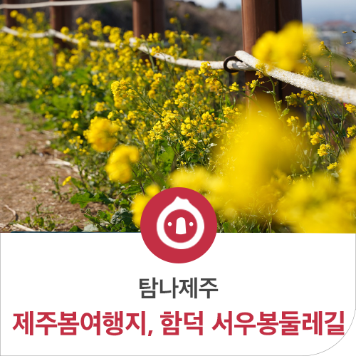  제주도 봄에 가볼만한곳, 함덕서우봉둘레길에서 바다와 오름을 함께