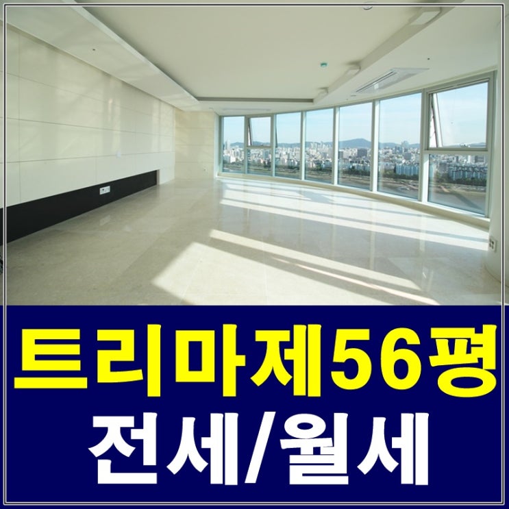 서울숲트리마제 56평 파노라마 한강뷰 전세