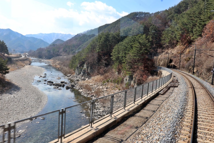  영동오지 낙동강 백두대간협곡열차 (낙동강세평하늘길)트레킹~