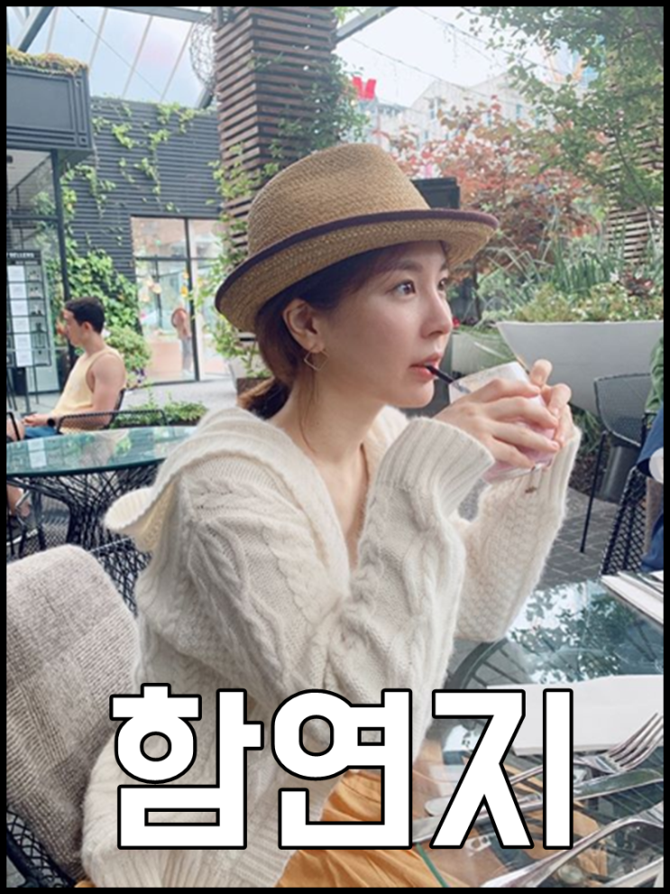  함연지 나이 키 오뚜기일가 재벌3세였어
