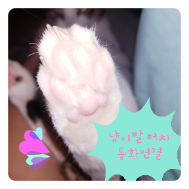 구미 날씨가 흐리네요 비도 슬슬 내리고 바람도 가끔 돌풍 비슷한 / 비산동 에어컨 철거 학원 비품 리모델링 폐기물 처리 완료!!