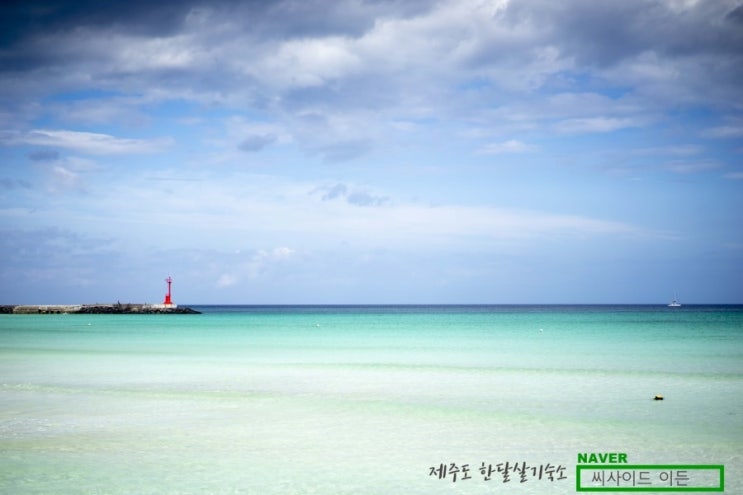  제주도한달살기비용 렌트카 vs 차량탁송 vs 뚜벅이대중교통