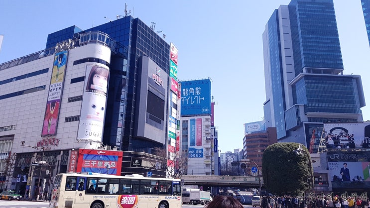  [일본워홀] 263日 시부야 카페 Chelsea Cafe, 친구에게 받은 사쿠라 카제구루마!! / 다이칸야마 츠타야서점, 旧朝倉家住宅 구 아사쿠라가 주택 / 켄짱라멘