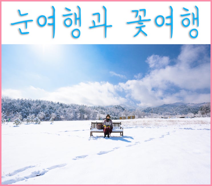  3월의 떠나는 눈도 보고 꽃도 본, 눈 여행 그리고 봄꽃 여행 - 경북 봉화, 울진여행