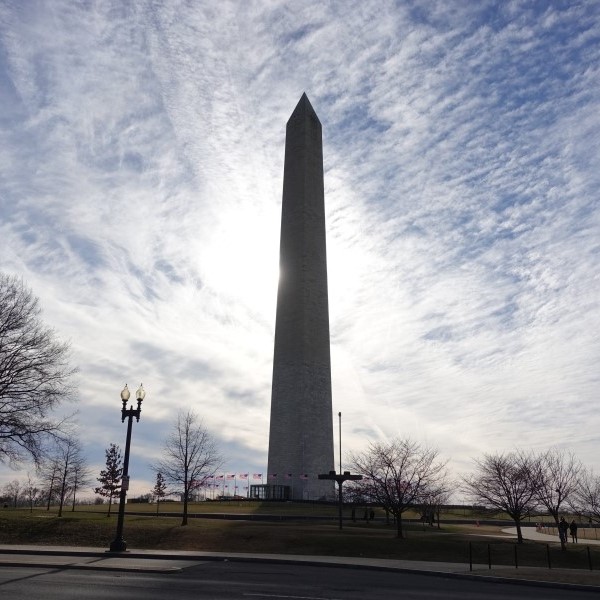  #190320 미국 동부 여행 10일차 - 워싱턴 D.C. Art Museum of the Americas