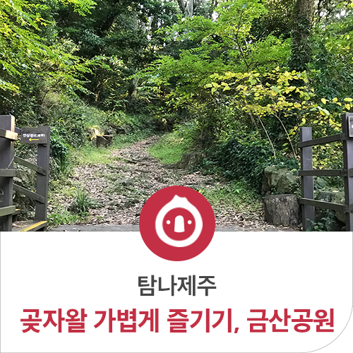  제주 곶자왈 숲, 금산공원에서 가볍게 즐겨요!