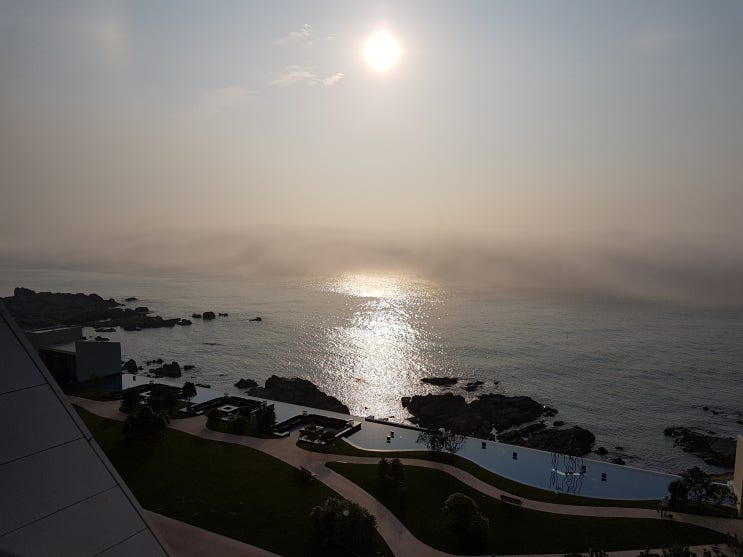  선천적 복수국적자 국적선택신고