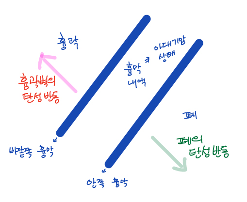  2019년 4월 모의고사 대비 2018년 4월 모의고사 국어 문제 해설지 다운로드! 문제 풀이와 등급 컷까지!