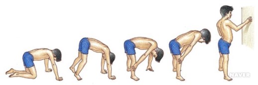  근이영양증 원인과 증상