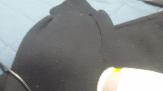  세탁소에서도 쓴다는 말에 혹해서 산 리빙픽 보풀제거기 후기