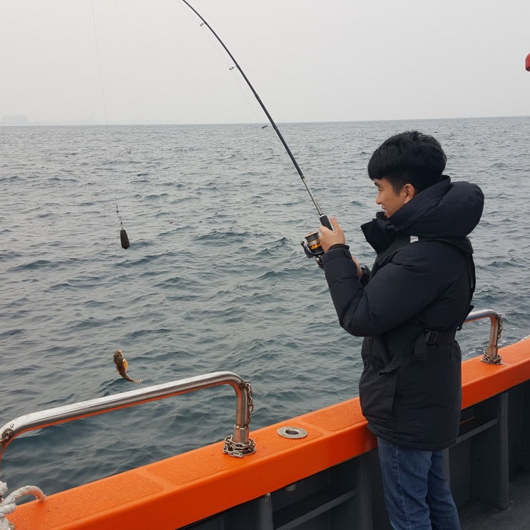  강릉배낚시 여행 (금학칼국수+주문진홍게무한리필+바로방+초당소나무집)