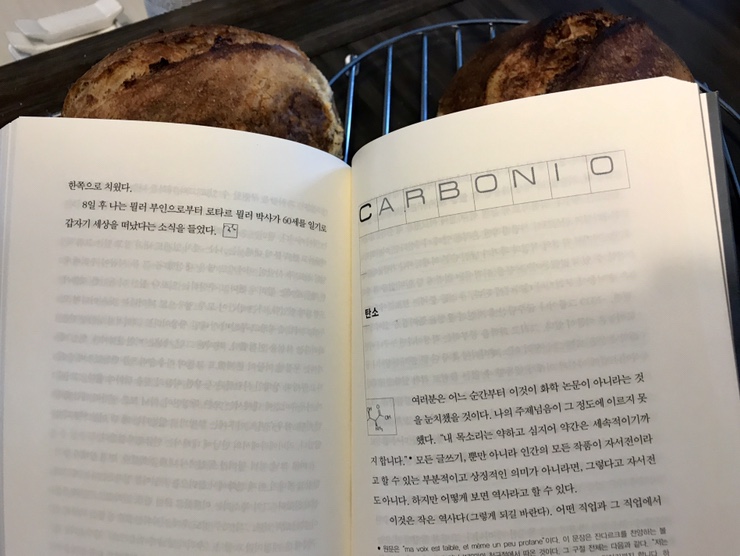  탄소 (Carbonio), 프리모레비 [주기율표] 중