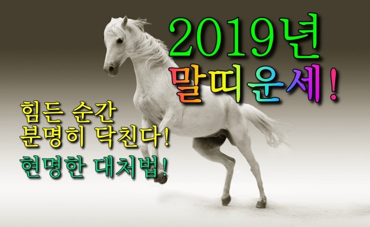  [운세] 2019년말띠운세 (혼란의 중심에서 난관에 빠지기 쉽습니다!!-해결법,대처법)