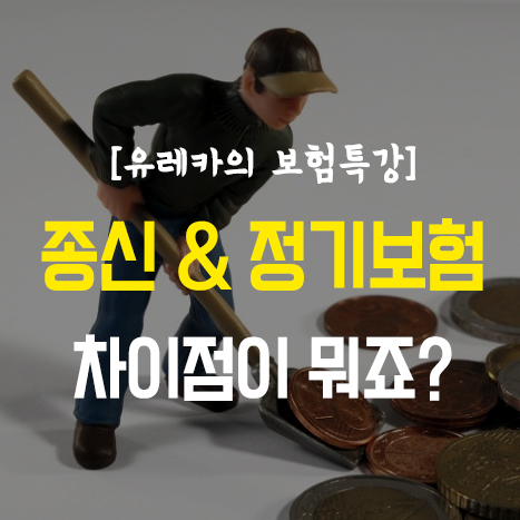  종신보험과 정기보험의 차이점