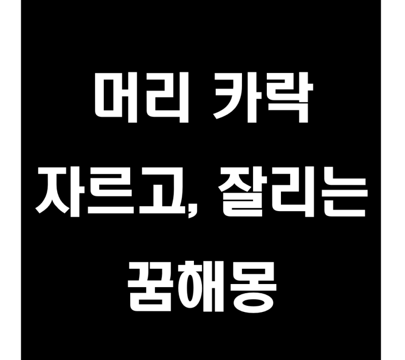 머리카락 자르는 꿈 단발&긴 머리 잘리는 꿈 너무 슬퍼요