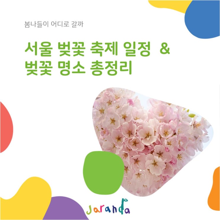 서울 벚꽃 개화시기 & 서울 벚꽃축제 일정 총정리