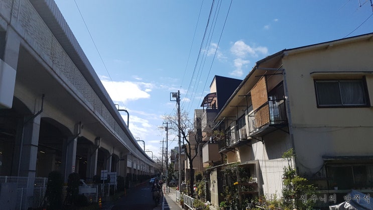  [일본워홀] 264日 무사시노우동 / 오꼬노미야끼 오늘은 실패!!