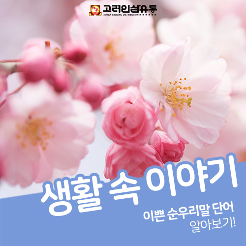  이쁜 순우리말 단어 알아보기!