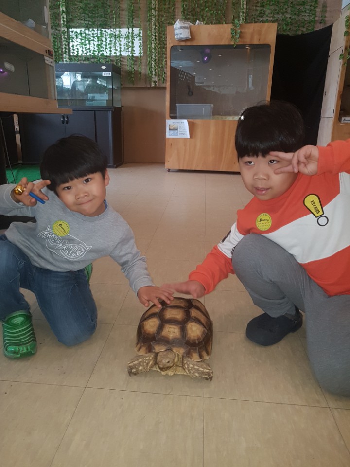  아이와가볼만한곳 양주가볼만한곳 양주애니멀카페