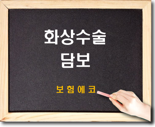  화상수술 담보