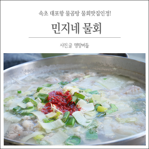  속초물곰탕 '민지네물회' 해장으로 딱이야