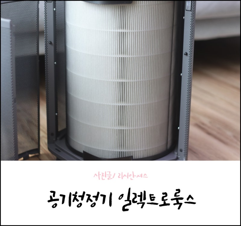 공기청정기 일렉트로룩스 필터 교체 관리도 완벽