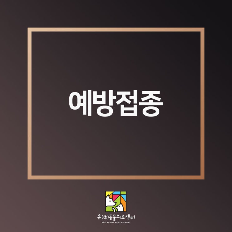  부산 강아지 예방접종 종류와 시기에 맞게 하세요