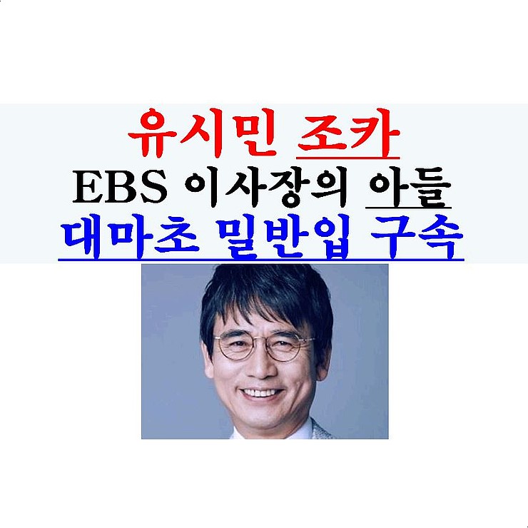 유시민 조카=EBS 이사장 유시춘의 아들::대마초 밀반입 시도 구속, 반기문 조카...