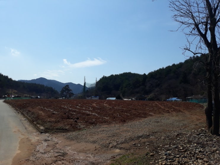  동창이 밝았느냐 노고지리 우지진다(동해시 장밭)