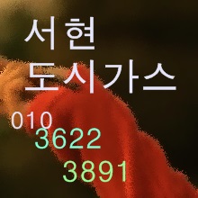  야탑동도시가스 공사 아파트 주택인테리어 배관철거및 계량기이전 장미로 시공업체 벌말로 판교로 야탑로 돌마로 칼미아 희망