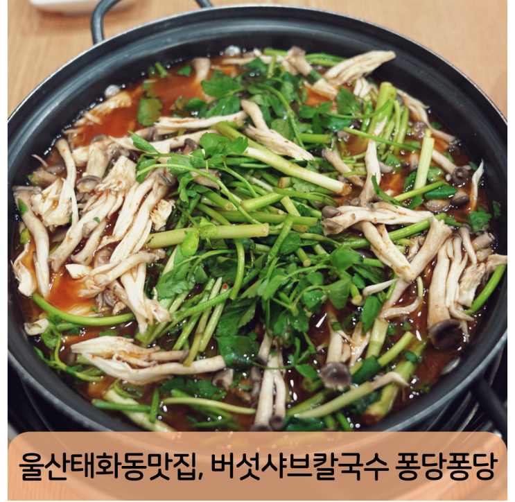  울산태화동맛집, 맛있고 건강한 보석같은 샤브샤브 퐁당퐁당