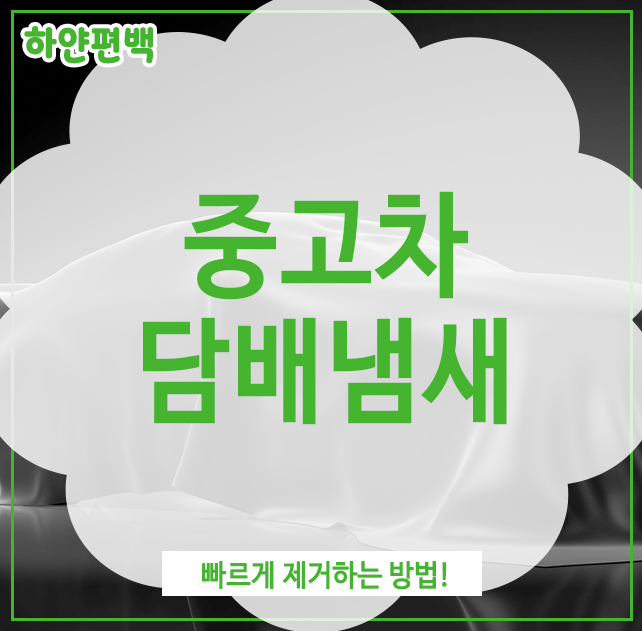  중고차 담배냄새, 빠르게 제거하는 방법!