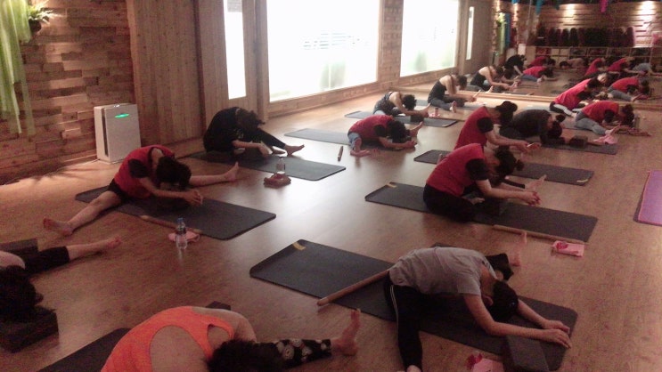  [소하동요가/광명요가/광명역요가/하안동요가]19.03.20 요가바른 class (Yin-therapy)