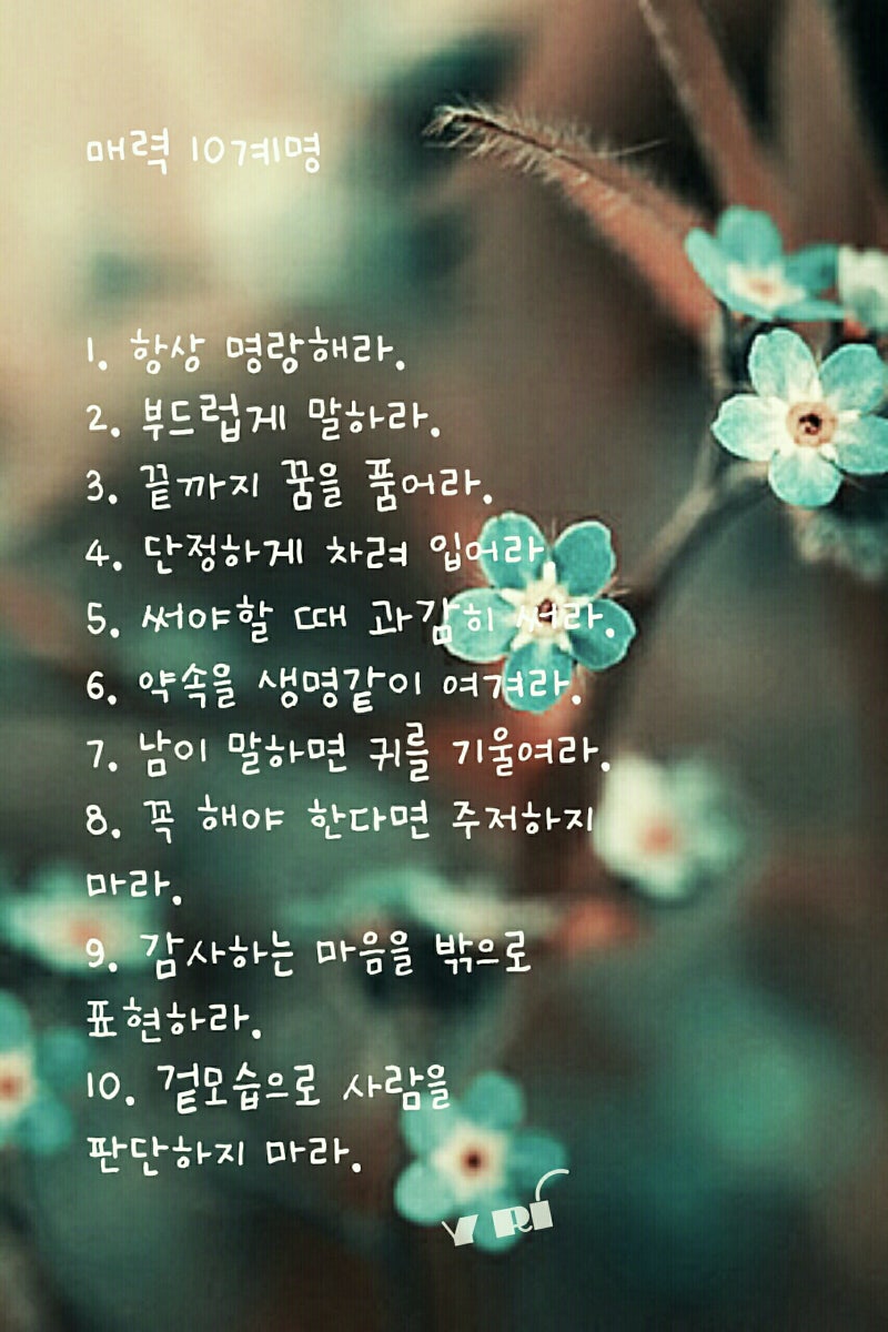 오늘의 글과 사랑, 좋은 글귀, 오늘의 명언, 오늘의 좋은 글, 사랑의 좋은 글귀, 사랑의 명언, 사랑 짧은 글 3 - 125 : 네이버 블로그