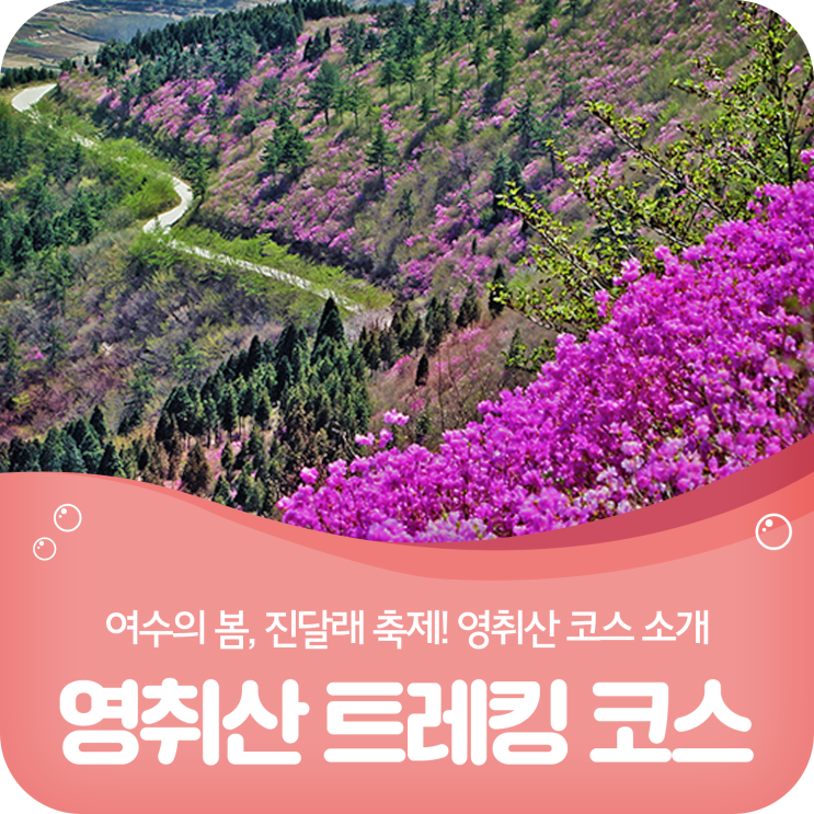  여수 영취산 봄 트레킹코스, 진달래축제 코스 정리~!