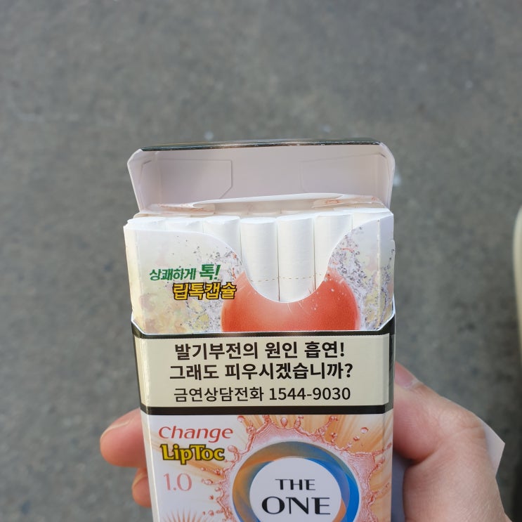  [담배리뷰] 더원 체인지 립톡